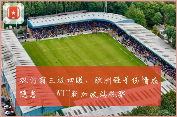 双打前三板回暖，欧洲强手伤情成隐患——WTT新加坡站观察