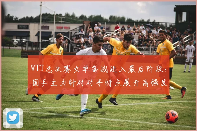 WTT总决赛女单备战进入最后阶段，国乒主力针对对手特点展开高强度模拟训练